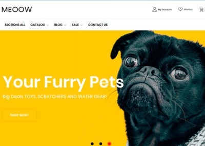 Shopify Web Designer